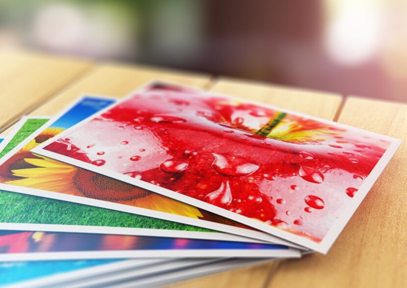 Best Online Photo Print Services for Color Accuracy