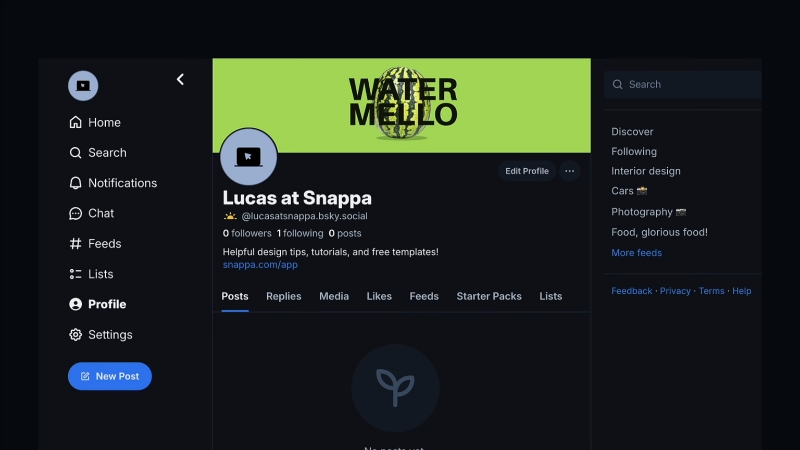 Example of a Bluesky profile showing how a banner appears across the top of the page with clear placement and scaling